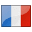 A flag icon of France